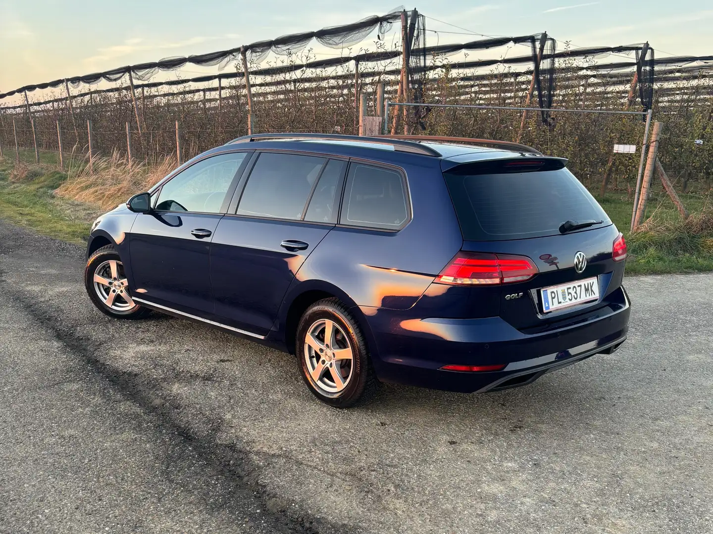 Volkswagen Golf Variant Golf Variant 1,6 TDI SCR Blau - 2