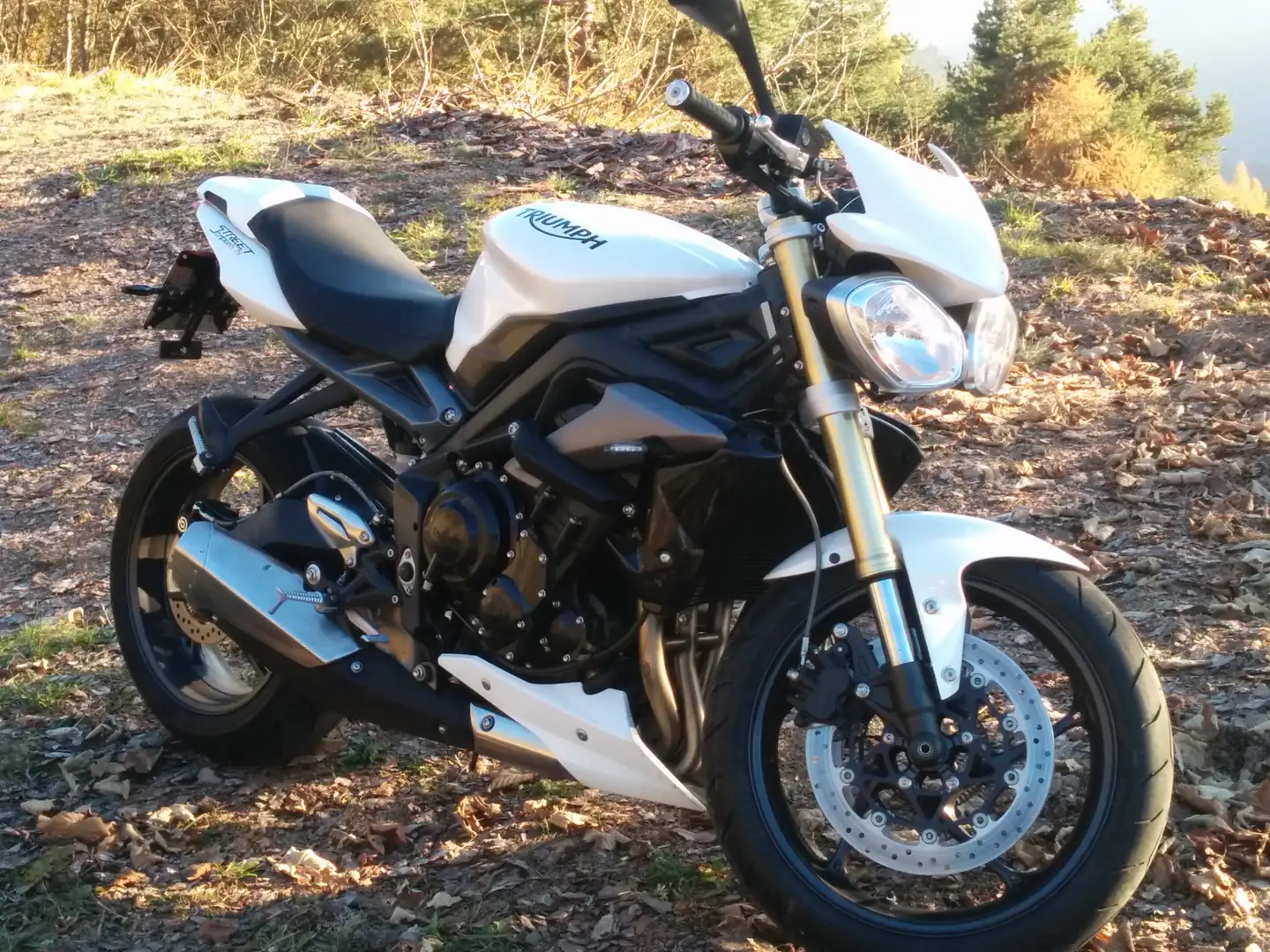 Triumph Street Triple 675 s Bianco - 1