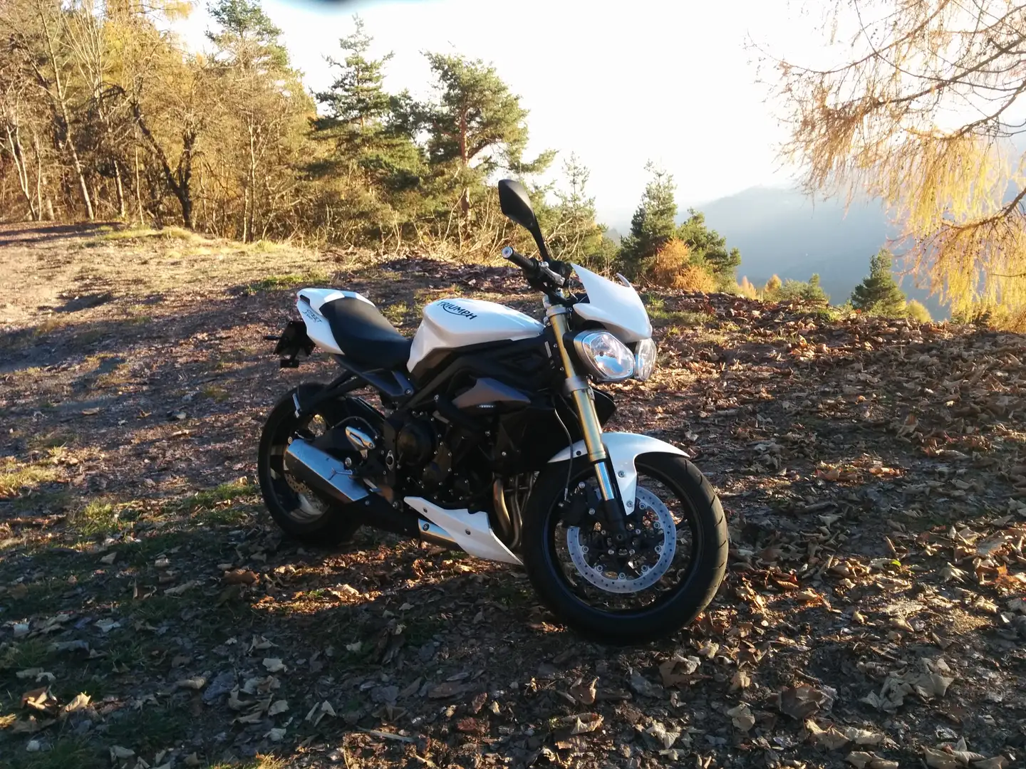 Triumph Street Triple 675 s Bianco - 2