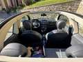 Fiat 500C 1.2 Pop Star 69cv GPL - thumbnail 12