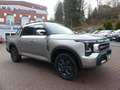 DFSK Sonstige Rich 9 Pick Up*2.3*Leder*LED*Sitzbel*Pano*Kam Beige - thumbnail 3