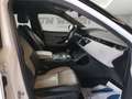 Land Rover Range Rover Evoque 2.0d i4 mhev R-Dynamic HSE awd 150cv auto Bianco - thumbnail 15