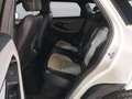 Land Rover Range Rover Evoque 2.0d i4 mhev R-Dynamic HSE awd 150cv auto Bianco - thumbnail 11