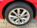 Skoda Fabia 1.0 TSI Clever ACC+SHZ+KlimaA+LM Rosso - thumbnail 22
