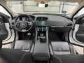 Jaguar F-Pace F-PACE R-Sport AWD/Meridian/Pano/4xShz/ACC/360°K Blanco - thumbnail 25