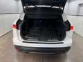 Jaguar F-Pace F-PACE R-Sport AWD/Meridian/Pano/4xShz/ACC/360°K Blanco - thumbnail 9
