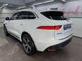 Jaguar F-Pace F-PACE R-Sport AWD/Meridian/Pano/4xShz/ACC/360°K Blanco - thumbnail 4