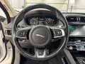 Jaguar F-Pace F-PACE R-Sport AWD/Meridian/Pano/4xShz/ACC/360°K Blanco - thumbnail 31
