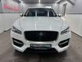 Jaguar F-Pace F-PACE R-Sport AWD/Meridian/Pano/4xShz/ACC/360°K Blanco - thumbnail 3