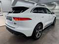 Jaguar F-Pace F-PACE R-Sport AWD/Meridian/Pano/4xShz/ACC/360°K Blanco - thumbnail 5