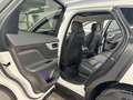 Jaguar F-Pace F-PACE R-Sport AWD/Meridian/Pano/4xShz/ACC/360°K Blanco - thumbnail 20