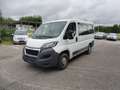 Peugeot BOXER 9-SITZER Bianco - thumbnail 3