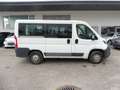 Peugeot BOXER 9-SITZER Bianco - thumbnail 5