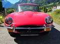 Jaguar E-Type 4,2 Coupe 2+2 USA / Serie II Rot - thumbnail 3