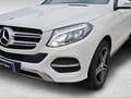 Mercedes-Benz GLE 250 250 d Sport 4matic auto Blanc - thumbnail 19