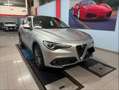 Alfa Romeo Stelvio Stelvio 2017 2.2 t Business rwd 190cv auto my19 Zilver - thumbnail 1