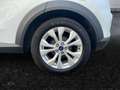 Ford Puma 1.0 EcoBoost ''Cool&Connect'' Parksensoren Sitzhei Blanc - thumbnail 6
