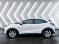 Ford Puma 1.0 EcoBoost ''Cool&Connect'' Parksensoren Sitzhei Blanc - thumbnail 3