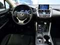 Lexus NX 300 300h Corporate 2WD + Navibox Giallo - thumbnail 11