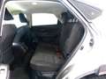 Lexus NX 300 300h Corporate 2WD + Navibox Amarillo - thumbnail 20