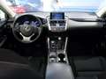Lexus NX 300 300h Corporate 2WD + Navibox Jaune - thumbnail 10