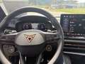 CUPRA Terramar 1,5 eTSI DSG Edge Paket,Intell. Drive Paket, Neu Schwarz - thumbnail 13