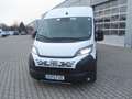 Fiat Ducato L4H2 Maxi 180 Automatik, LED, 270 Grad Weiß - thumbnail 2
