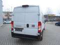 Fiat Ducato L4H2 Maxi 180 Automatik, LED, 270 Grad Weiß - thumbnail 5