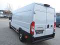 Fiat Ducato L4H2 Maxi 180 Automatik, LED, 270 Grad Weiß - thumbnail 4