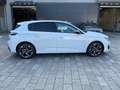 Peugeot 308 Berlina 1.2 PureTech 130cv ALLURE KM ZERO Bianco - thumbnail 4