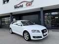 Audi A3 1.6 TDI Select Weiß - thumbnail 3