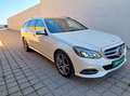 Mercedes-Benz E 250 CDI 4MATIC Avantgarde Finanzierung Möglich Wit - thumbnail 3