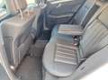 Mercedes-Benz E 250 CDI 4MATIC Avantgarde Aut. Blanc - thumbnail 20