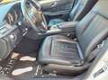 Mercedes-Benz E 250 CDI 4MATIC Avantgarde Finanzierung Möglich Wit - thumbnail 17