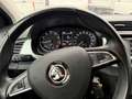 Skoda Fabia FABIA COMBI AMBITION KLIMA TEMPOMAT GREEN-TEC Beige - thumbnail 17