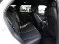 Land Rover Range Rover Evoque D180 R-Dynamic HSE HUD AHK Blanco - thumbnail 6