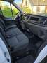 Ford Transit TRANSIT FGN P350 L3H2 2.0 ECOBLUE MHEV 130 LIMITED Blanco - thumbnail 8