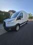 Ford Transit TRANSIT FGN P350 L3H2 2.0 ECOBLUE MHEV 130 LIMITED Blanco - thumbnail 1
