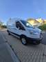 Ford Transit TRANSIT FGN P350 L3H2 2.0 ECOBLUE MHEV 130 LIMITED Blanco - thumbnail 4