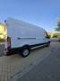 Ford Transit TRANSIT FGN P350 L3H2 2.0 ECOBLUE MHEV 130 LIMITED Blanco - thumbnail 7