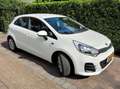 Kia Rio Rio 1.2 CVVT ComfortL. Alb - thumbnail 4