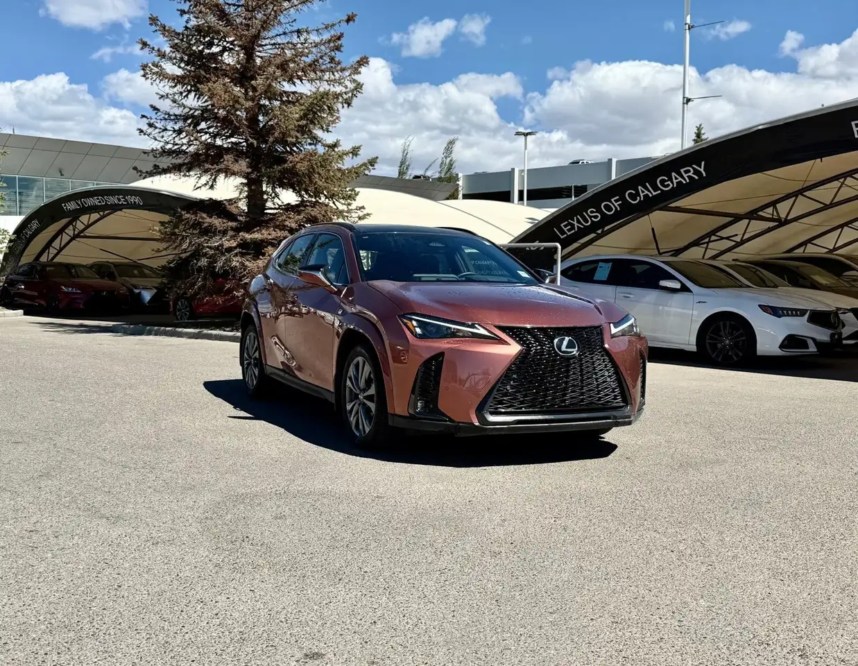 2025 Lexus UX