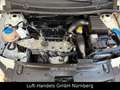 Volkswagen Fox Basis 1.2 8 x Bereift 1.Hand Alufelgen Blanc - thumbnail 17