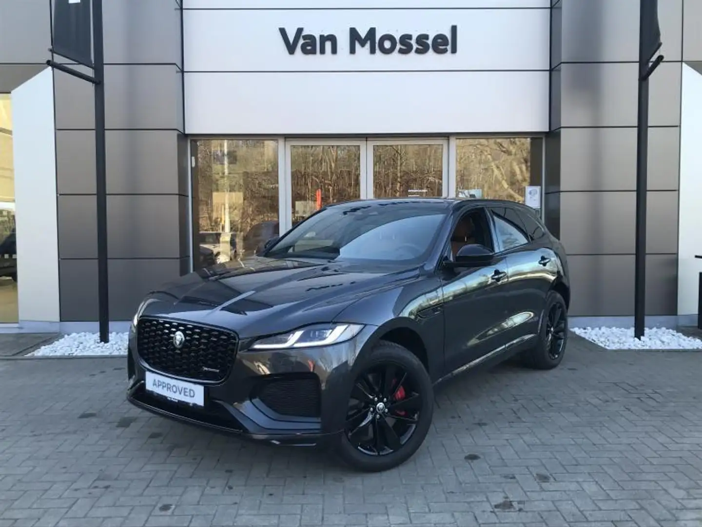 Jaguar F-Pace P400e R-Dynamic SE AWD Auto. 24MY Gris - 1
