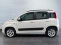 Fiat Panda Panda 0.9 TwinAir Turbo Natural Power Lounge - thumbnail 3
