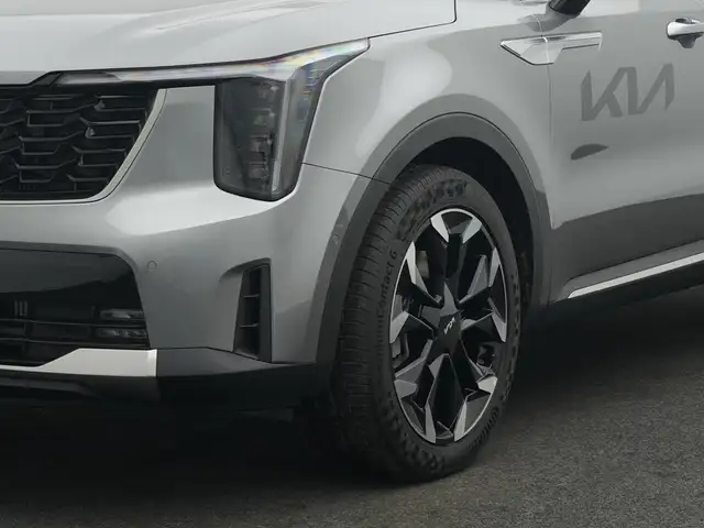 Kia Sorento view 11
