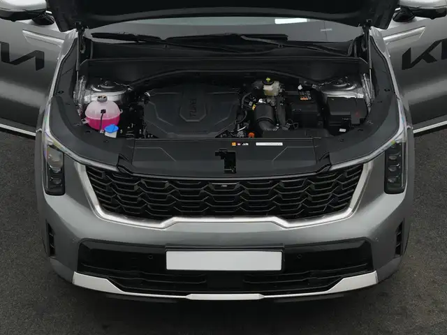 Kia Sorento view 8
