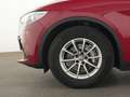Alfa Romeo Stelvio Business Q4 ACC|Keyless|CarPlay|R-Kam|SHZ Rot - thumbnail 12