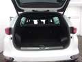 Kia Sportage GT Line 4WD Automatik/ACC/Pano/360°/LED Blanc - thumbnail 14