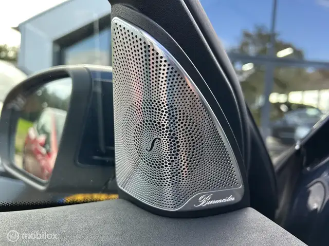 Mercedes-Benz Eqc view 28